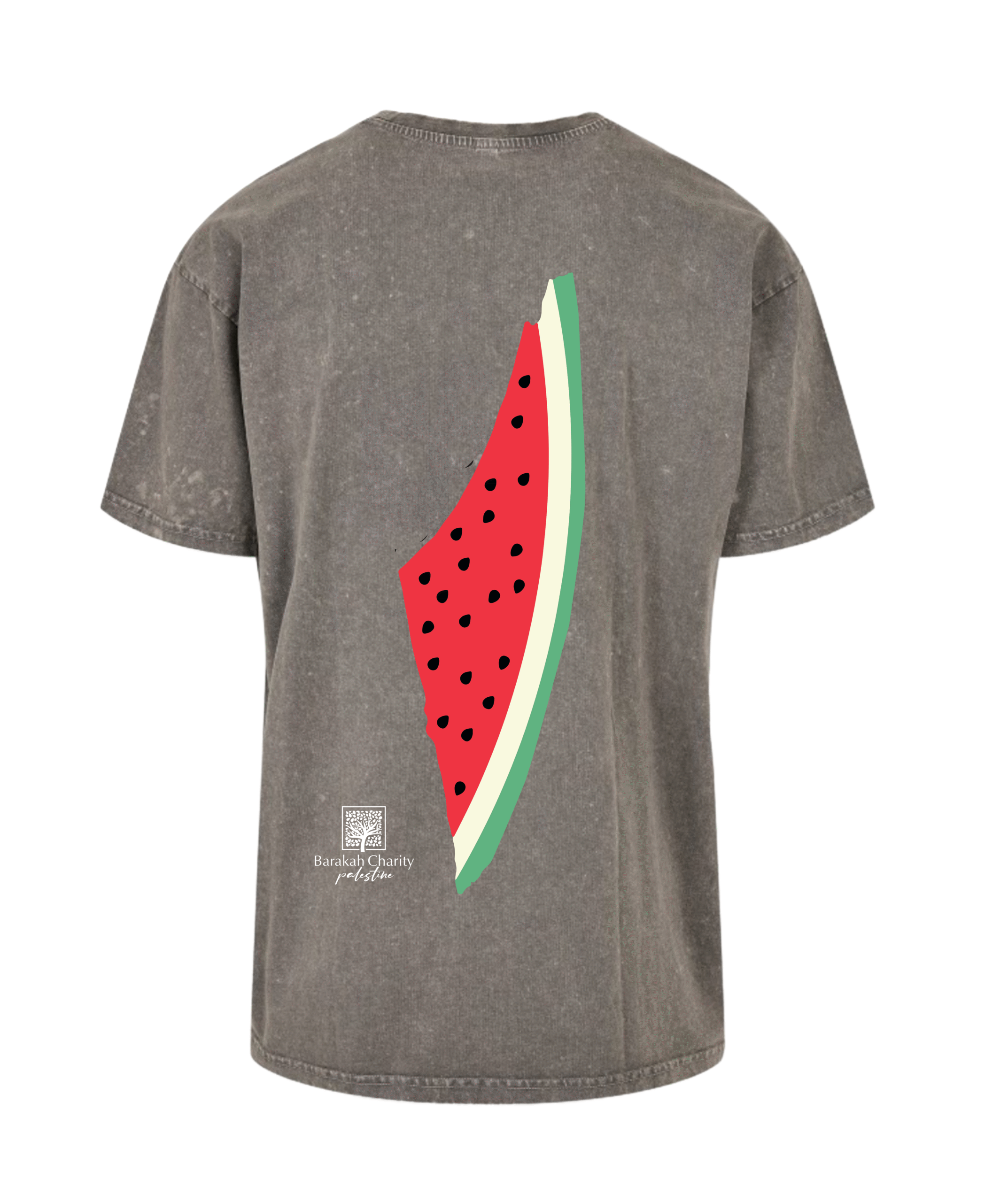 Grey Washed T-shirt Watermelon